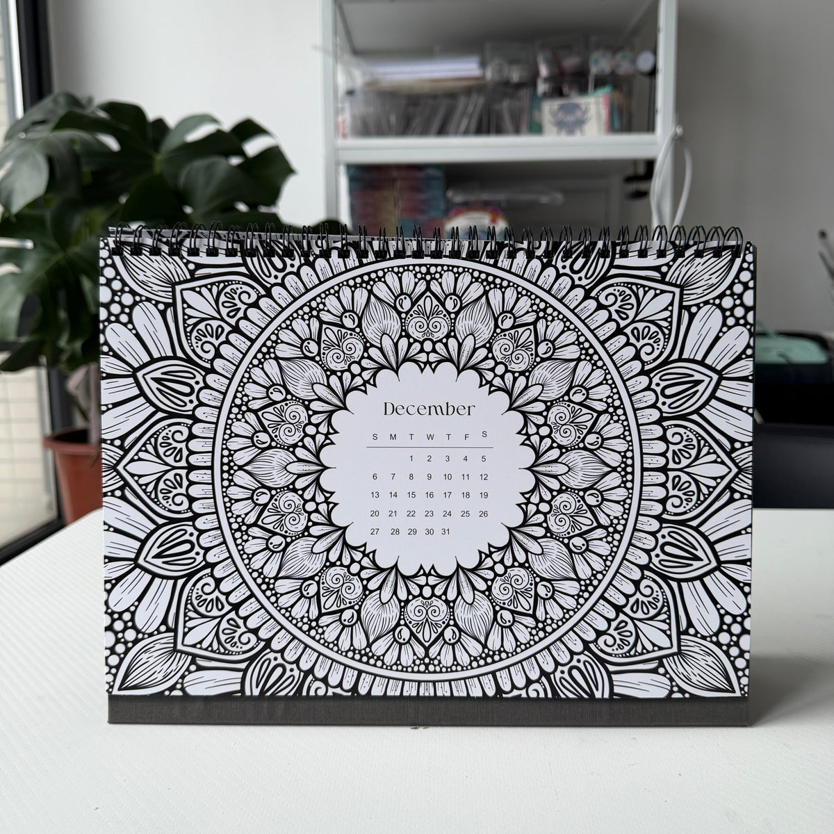 2027 Mandala Coloring Calendar (preorder)