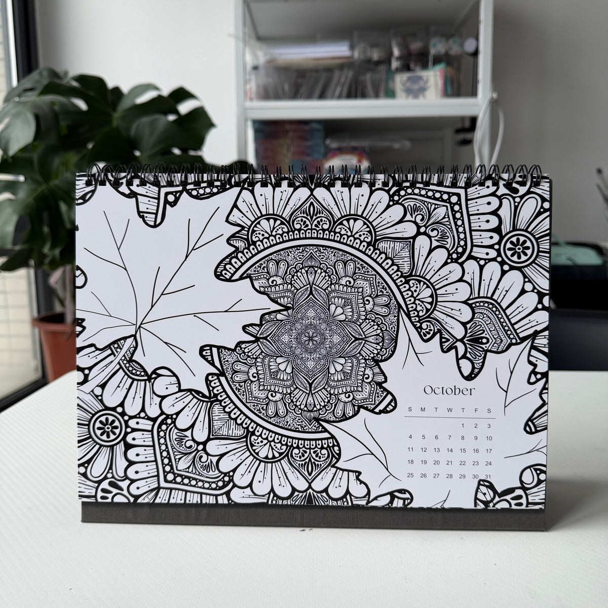 2027 Mandala Coloring Calendar (preorder)