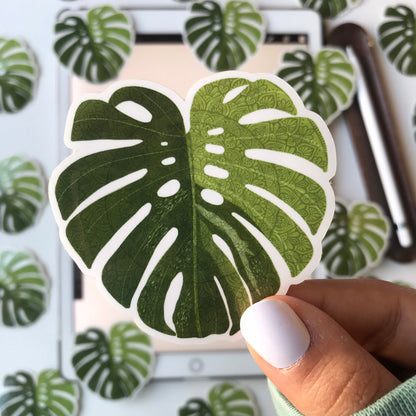 Mandala monstera  stickers