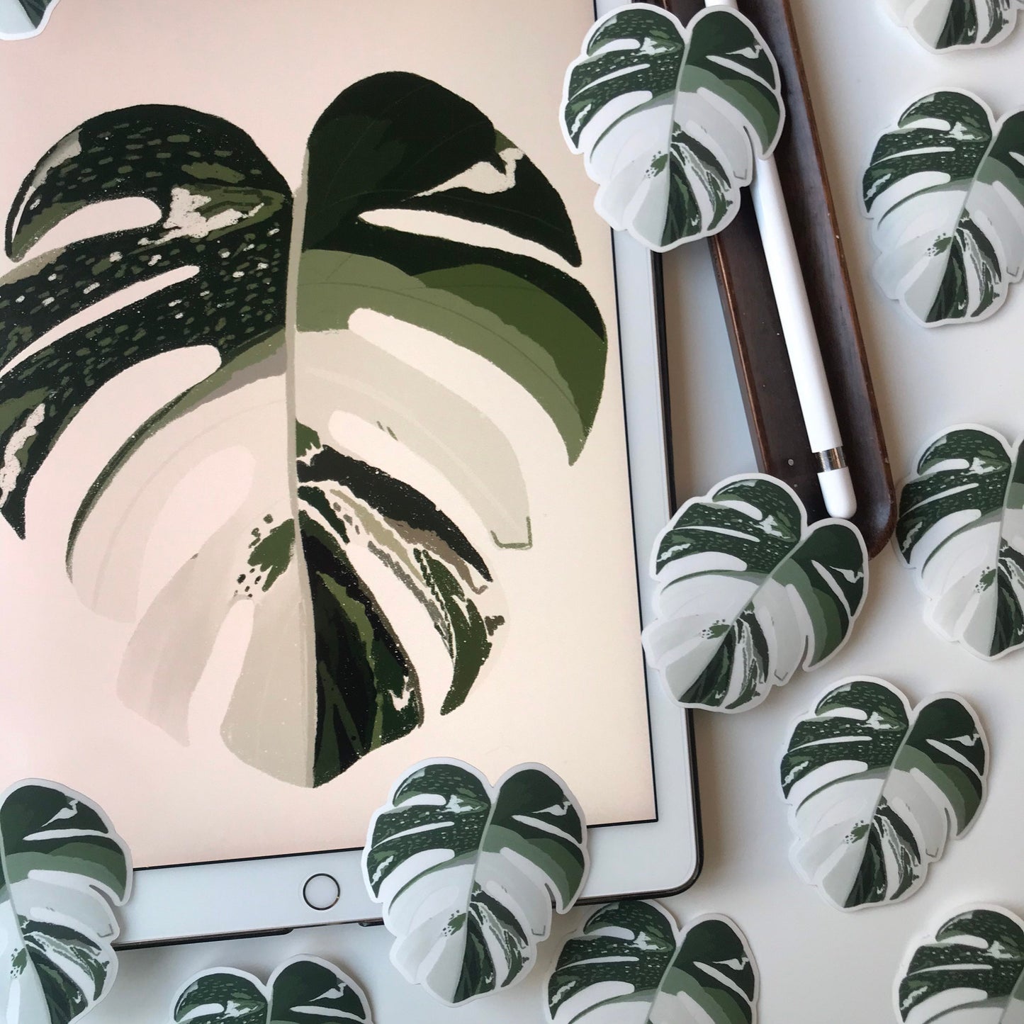 monstera borsigiana  sticker