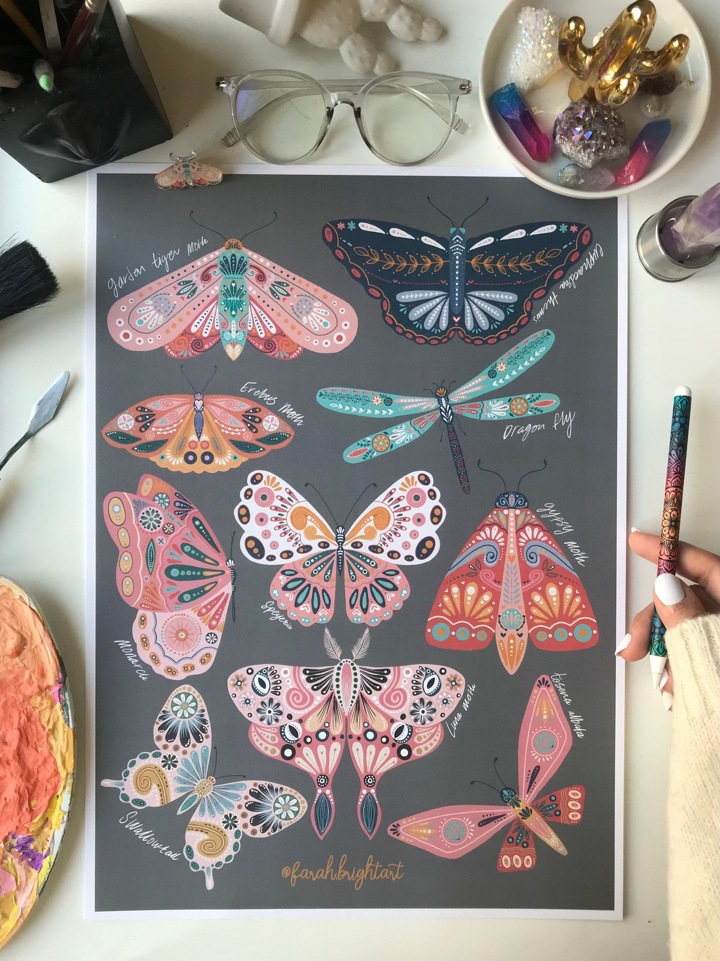 Moth and butterflies illustrations print