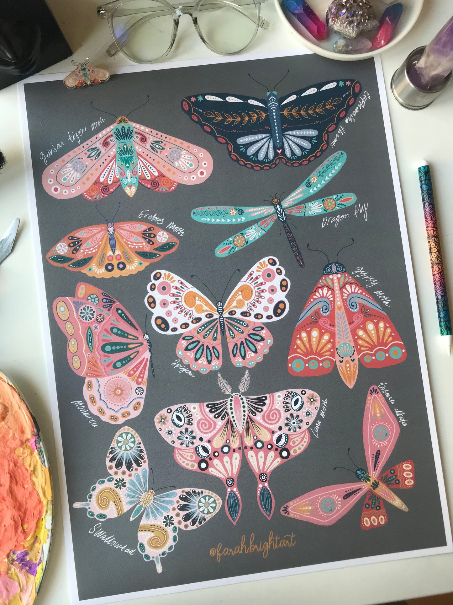 Moth and butterflies illustrations print