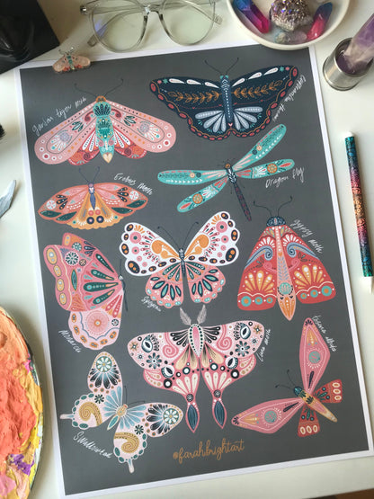 Moth and butterflies illustrations print