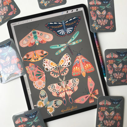 Moth collection  sticker