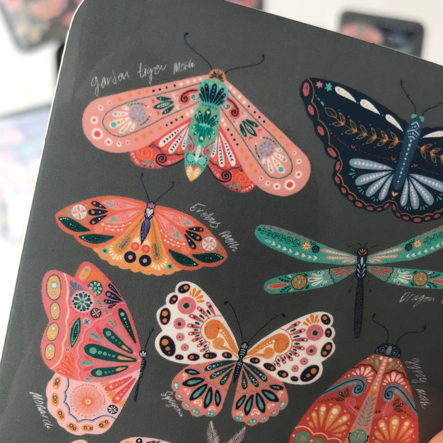 Moth collection  sticker