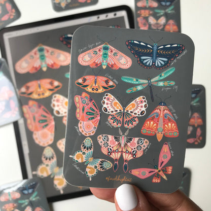 Moth collection  sticker