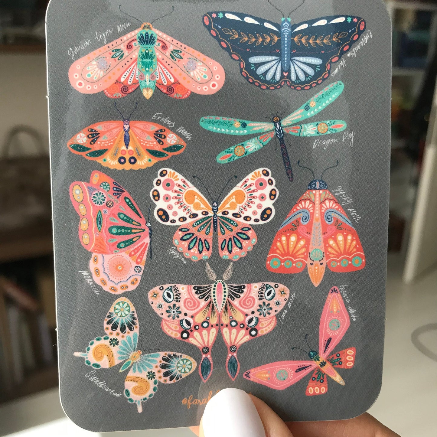 Moth collection  sticker