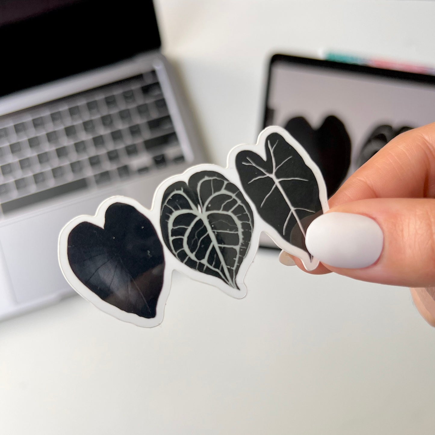 3 black plant leaf waterproof stickers