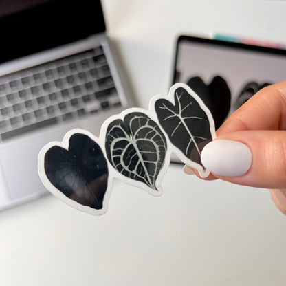 3 black plant leaf waterproof stickers