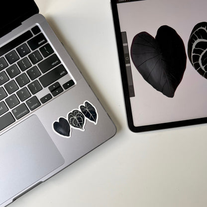 3 black plant leaf waterproof stickers