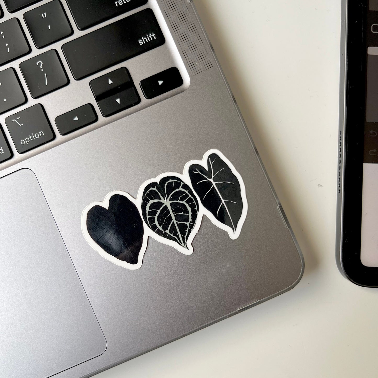 3 black plant leaf waterproof stickers